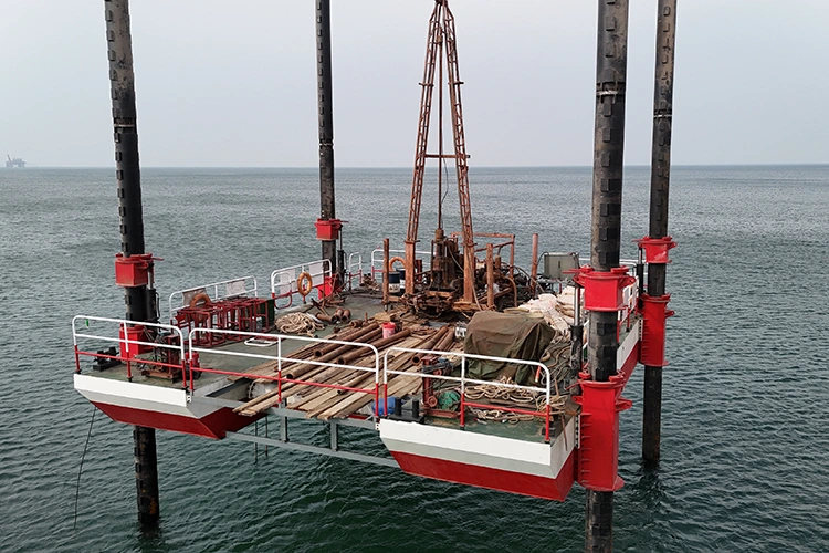 Manutenzione Piattaforma Autoelevabile